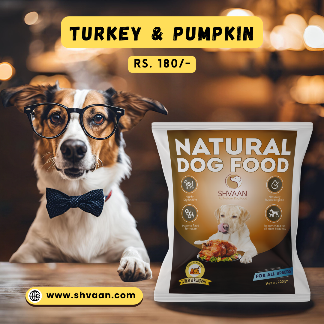 Wet Dog Food Made with Real Turkey and Pumpkin Flavour Pumpkin Turkey Shvaan Foods