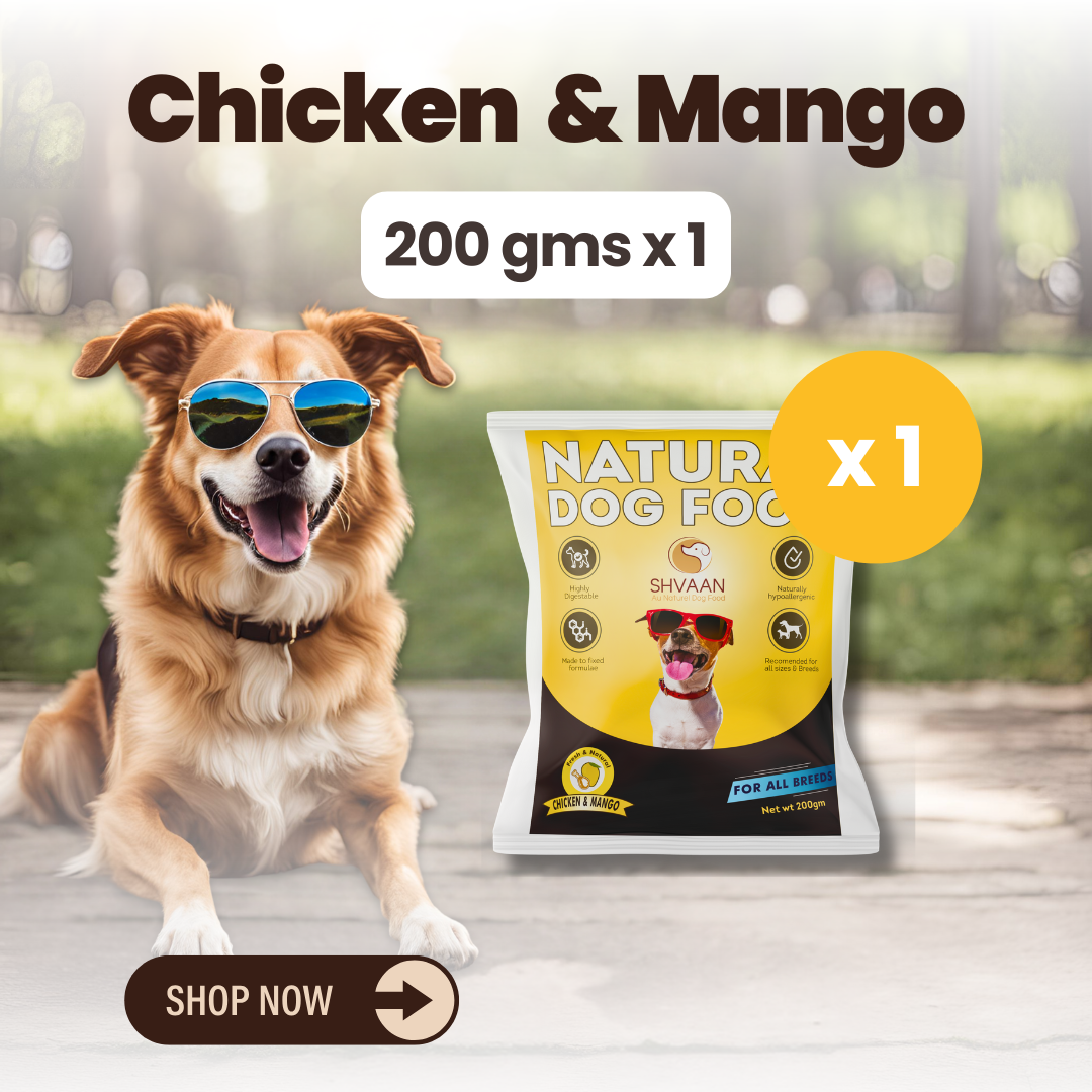 Chicken & Mango - (Trial Pack - 200g x 1)