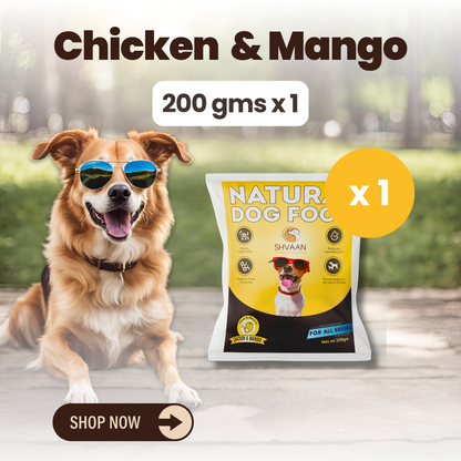 Chicken & Mango - (Trial Pack - 200g x 1)