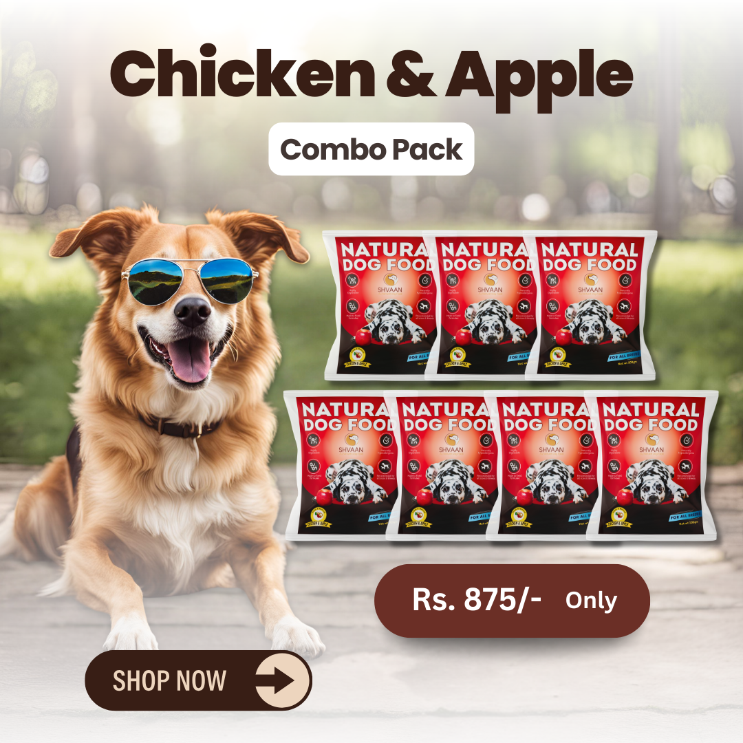 Combo Offer : Wet Dog Food Made With Real Chicken and Apple