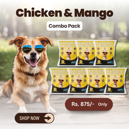 Combo Offer : Wet Dog Food Made with Real Chicken and Mango Flavour