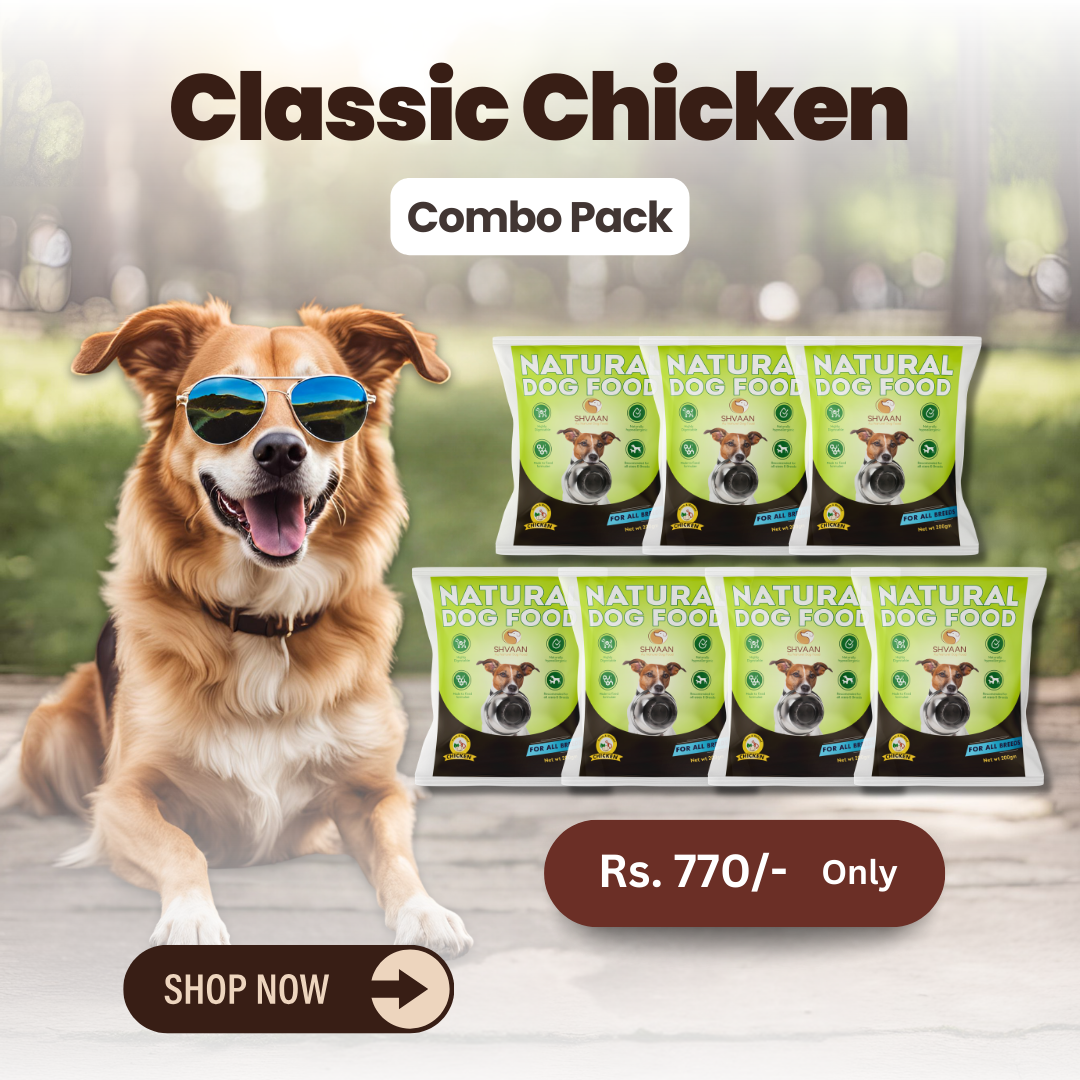 Combo Offer : Wet Dog Food Made with Real Chicken and Tasty Flavours (Classic Chicken) - 7 packs of 200g