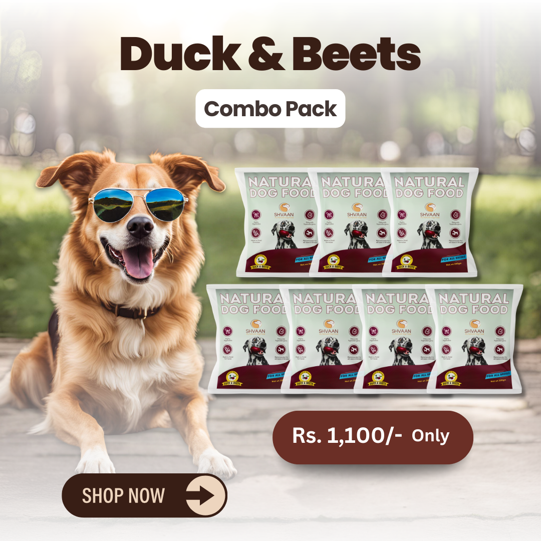 Combo Offer : Wet Dog Food Made with Real Duck and Beet Flavour (Beet Duck) - 7 packs of 200g