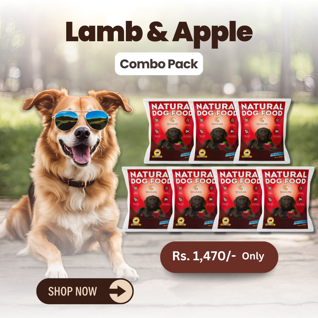 Combo Offer : Wet Dog Food Made with Real Lamb Meat and Apple (Lamb & Apple) - 7 packs of 200g