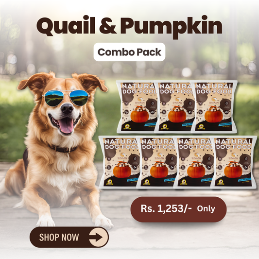 Combo Offer : Wet Dog Food Made with Real Quail and Pumpkin Flavour (Quail Pumpkin) - 7 packs of 200g