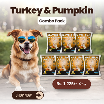 Combo Offer : Wet Dog Food Made with Real Turkey and Pumpkin Flavour (Pumpkin Turkey) - 7 packs of 200g