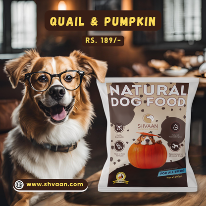 Wet Dog Food Made with Real Quail and Pumpkin Flavour (Quail Pumpkin) - 200g