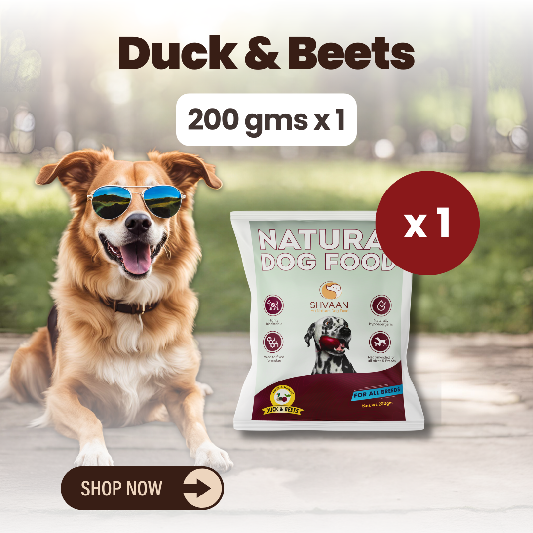 Duck & Beets (Trial Pack - 200g x 1)