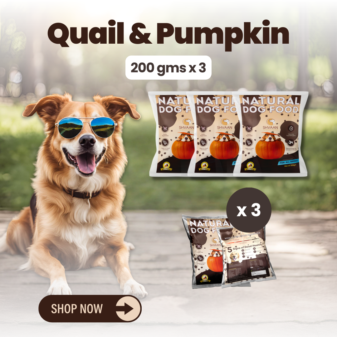 Wet Dog Food Made with Real Quail and Pumpkin Flavour (Quail Pumpkin) - 200g