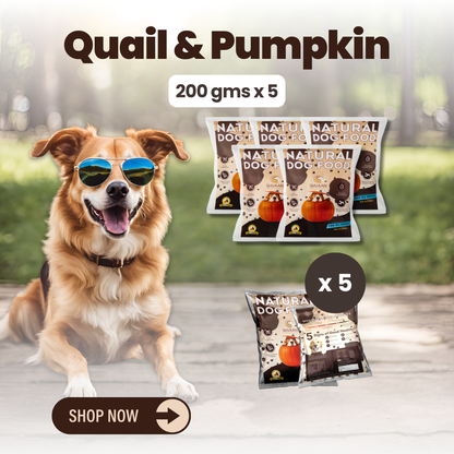 Wet Dog Food Made with Real Quail and Pumpkin Flavour (Quail Pumpkin) - 200g