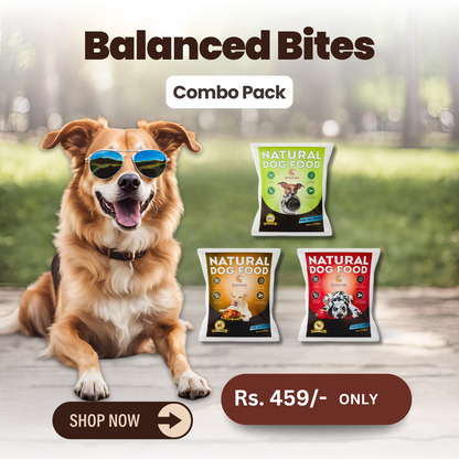 Balanced Bites - (Combo Pack - 3 x 200g)