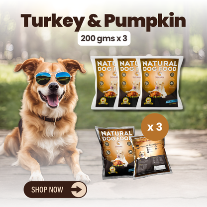 Wet Dog Food Made with Real Turkey and Pumpkin Flavour (Pumpkin Turkey) - 200g