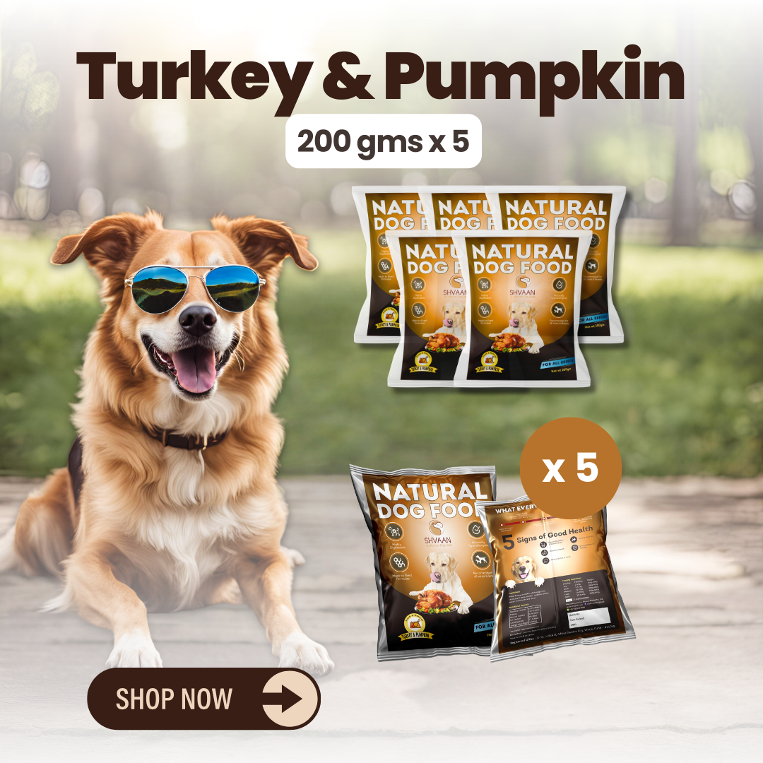 Wet Dog Food Made with Real Turkey and Pumpkin Flavour (Pumpkin Turkey) - 200g