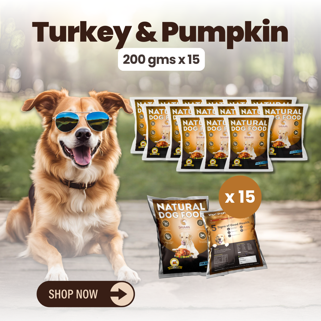 Turkey & Pumpkin - Combo Packs