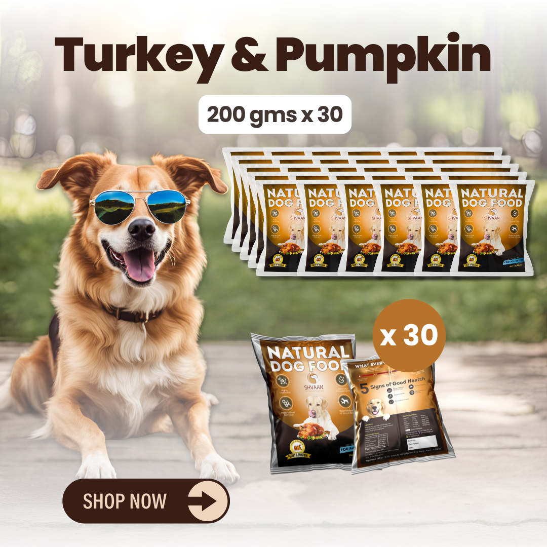 Turkey & Pumpkin - Combo Packs