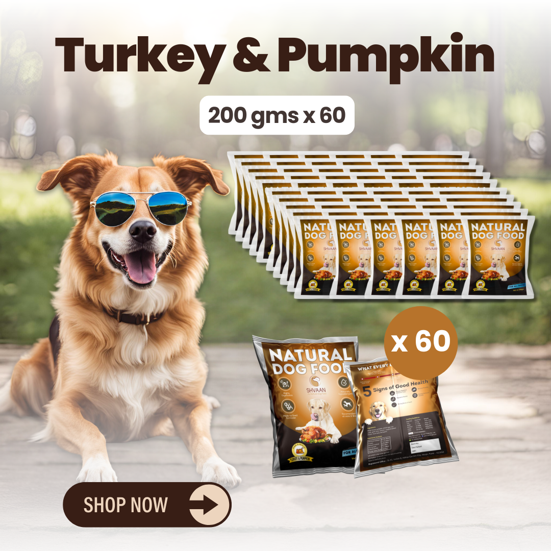 Turkey & Pumpkin - Combo Packs