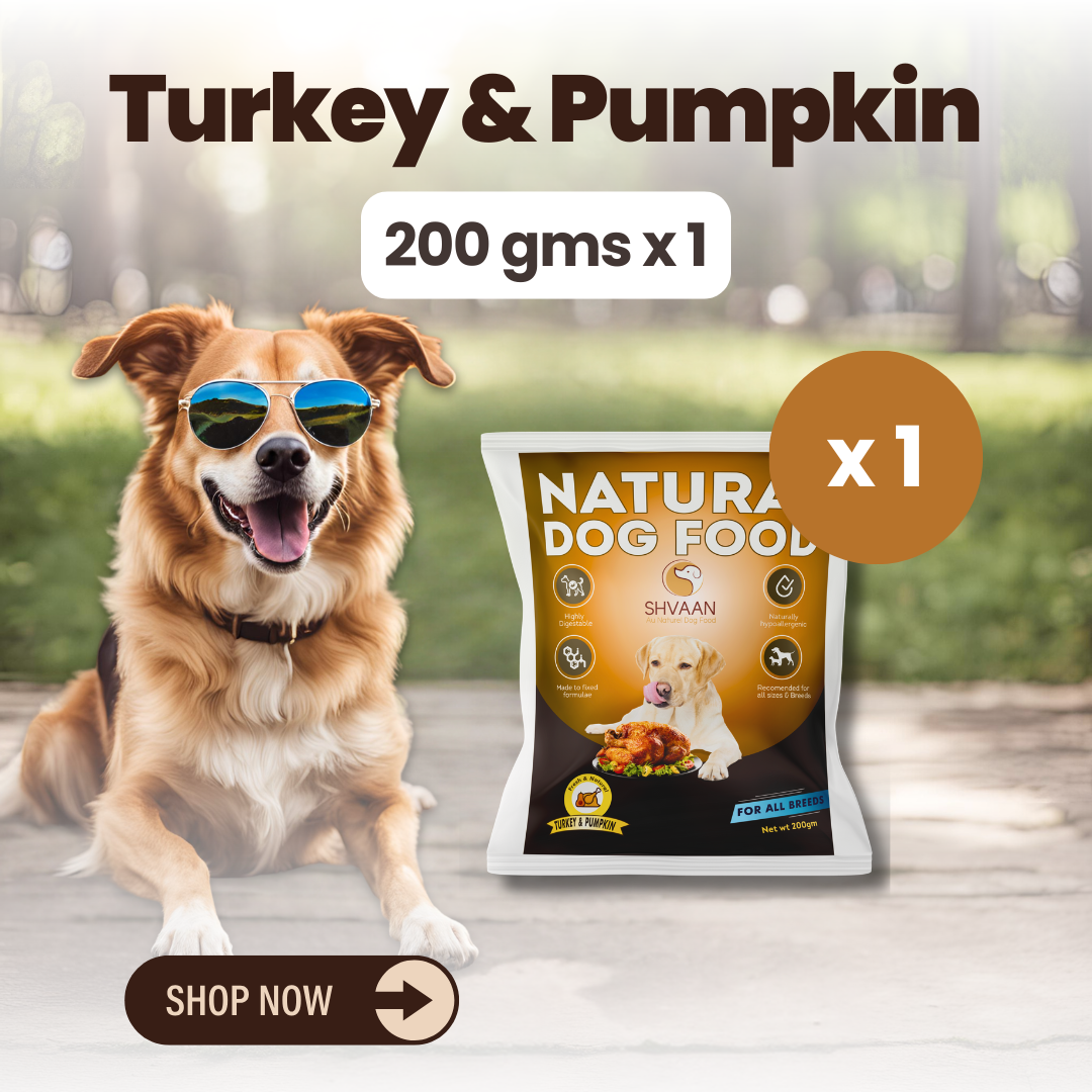 Turkey & Pumpkin (Trial Pack - 200g x 1)