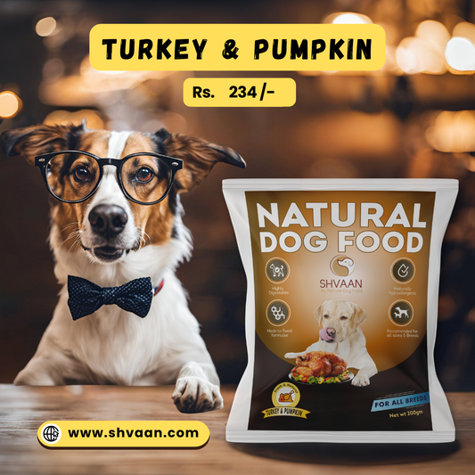 Wet Dog Food Made with Real Turkey and Pumpkin Flavour (Pumpkin Turkey) - 200g